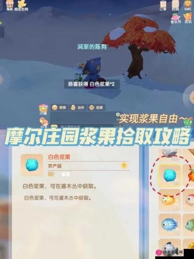 摩尔庄园手游白色浆果位置攻略