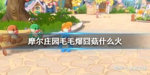 摩尔庄园手游毛毛爆囧菇制作攻略