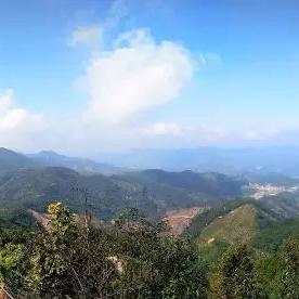 光遇小溪边神秘石室位置