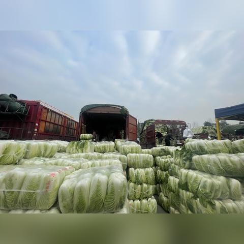 摩尔庄园手游工具栏菜篮子位置