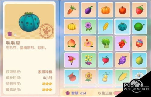 摩尔庄园手游毛毛豆获取攻略一览