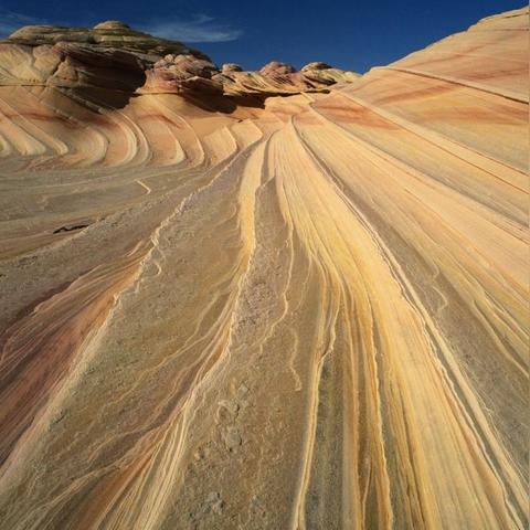 光遇污染间歇泉位置揭秘