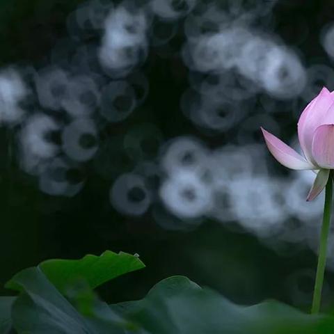 光遇国服海洋斗篷上线时间