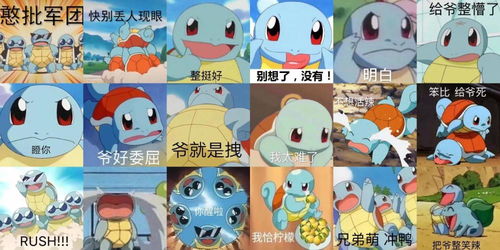 宝可梦探险：杰尼龟技能强度评测