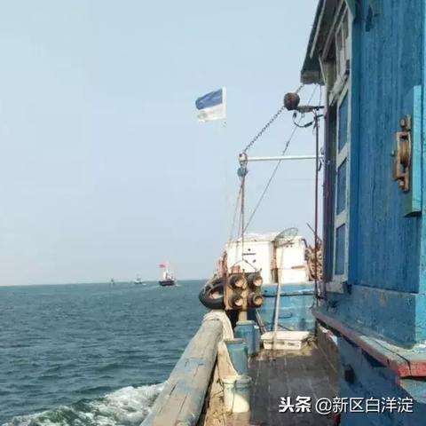 航海奇闻：诅咒船长玩法揭秘