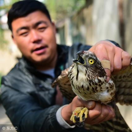 航海奇闻购买失败？速看解决攻略