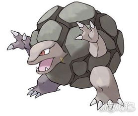宝可梦隆隆岩技能选择攻略