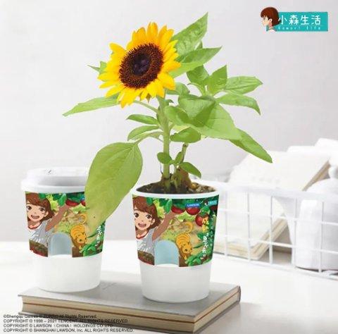 小森生活×罗森联动活动