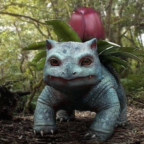 宝可梦探险金鱼王评测：精灵实力解析