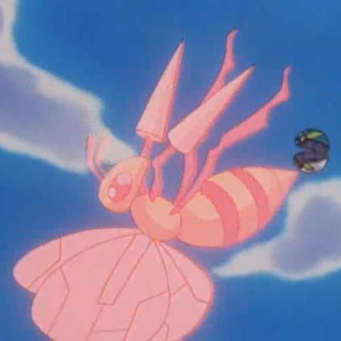 宝可梦独角虫技能强度解析