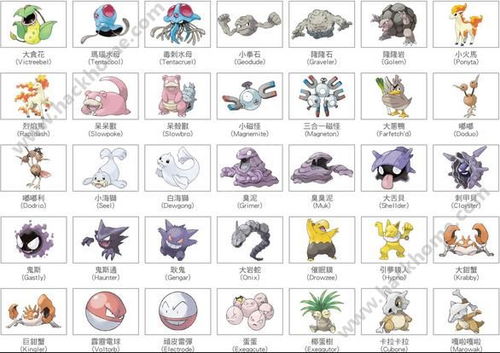 宝可梦巨钳蟹技能选择攻略