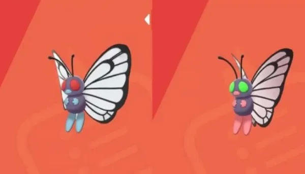 宝可梦探险巴大蝴宠物强度解析