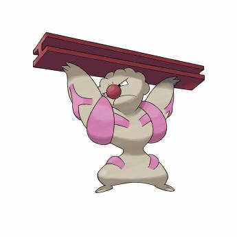 宝可梦大探险飞腿郎技能选择攻略