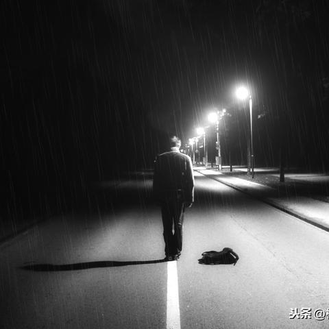 基于灵魂宝戒灼烧流阵容搭配攻略，流派英雄推荐