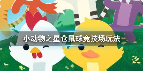 小动物之星仓鼠球神教玩法攻略