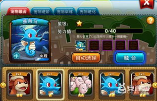 小动物之星升级秘籍 快速提升攻略