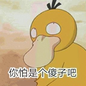 宝可梦大探险8-14攻略：通关秘籍全解析