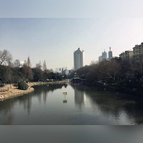 花店物语新手攻略：快速上手指南