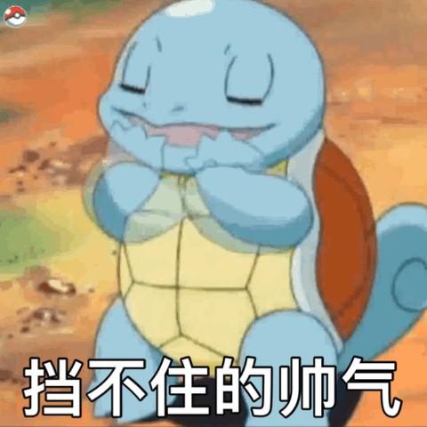 宝可梦大探险变硬叠加效果