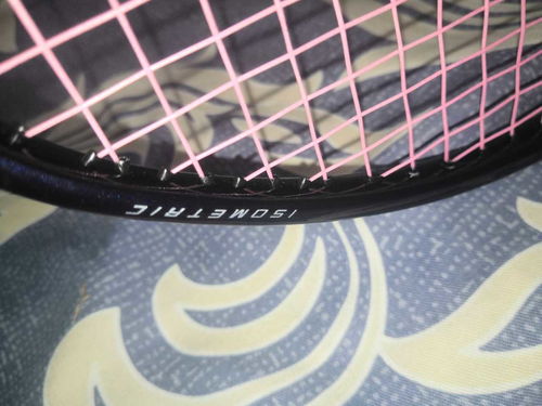 宝可梦探险电量恢复攻略 电量恢复方法