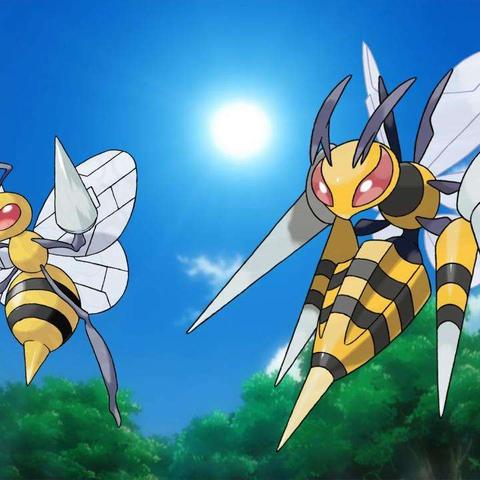 宝可梦大探险胡地召唤进化攻略