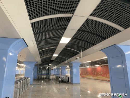 小动物之星邀请码 新鲜出炉邀请码大全