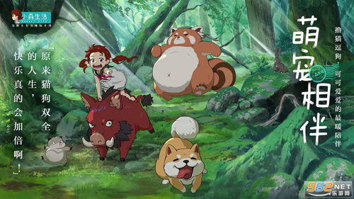 小森生活噗噗猪王地图寻踪