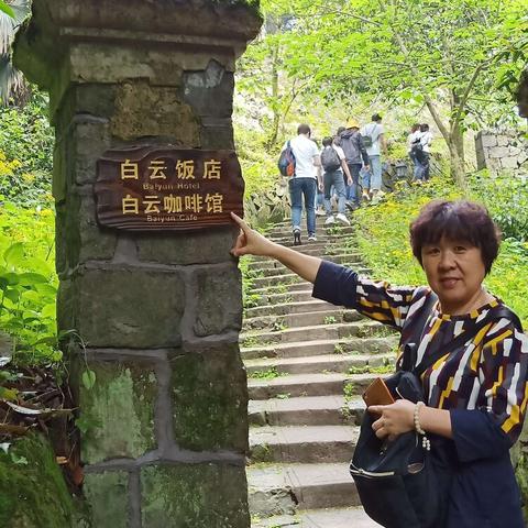 拔剑称王法师巨龙挑选指南