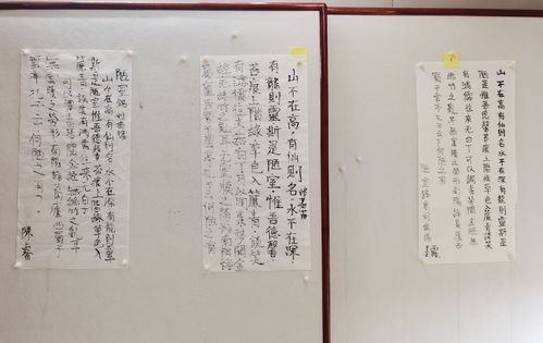 太公传承罗汉符解锁技巧揭秘