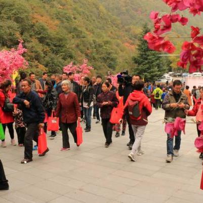 坎公骑冠剑心灵券兑换首选攻略揭秘