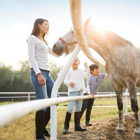 光遇集结季篝火任务攻略
