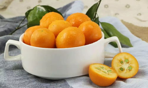 小森生活金桔食材位置