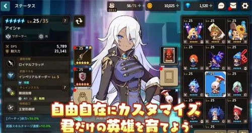 坎公骑冠剑比安卡玩法攻略