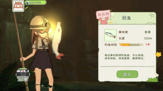 小森生活鱼肉获取攻略