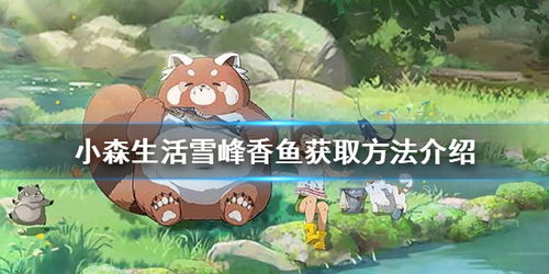 小森生活阿懒熊位置更新