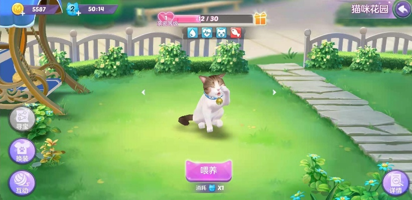 遇见猫咪提升亲密度的秘诀攻略