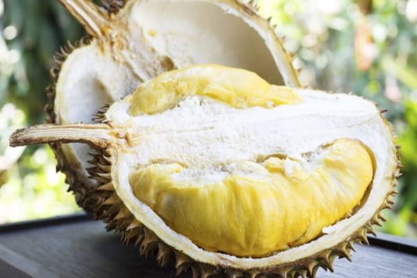 小森生活榴莲功效 水果益处解析