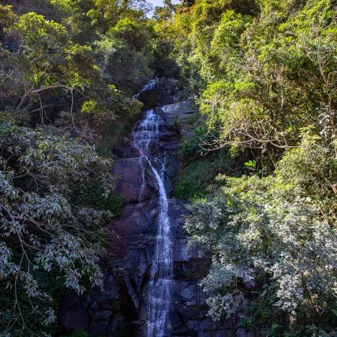 桃源记冬日生活指南：冬季过冬攻略分享