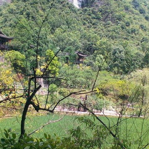 桃源记学堂建造攻略