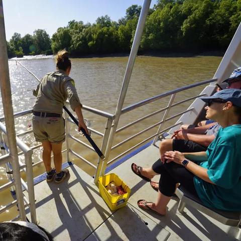 航海王热血航线鳄鱼玩法攻略