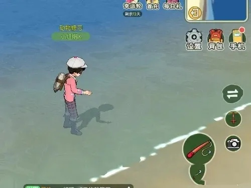 小森生活沙丁鱼刷新时间秒数