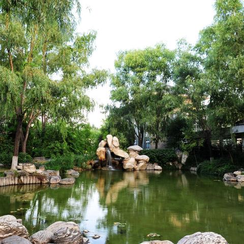 航海王热血航线改名卡获取攻略