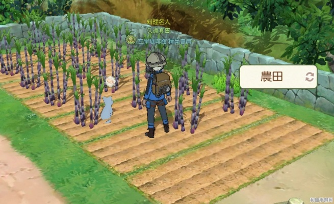 小森生活超级小麦功效解析