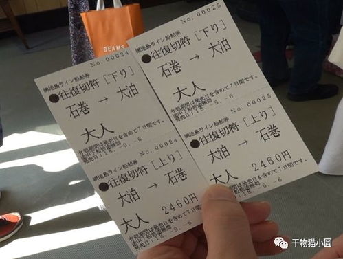 遇见猫咪准考证号填写指南获取途径