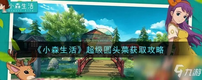 小森生活圆头菜获取攻略