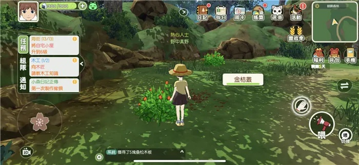 小森生活圆头菜获取攻略