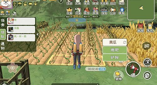 小森生活土豆功效揭秘