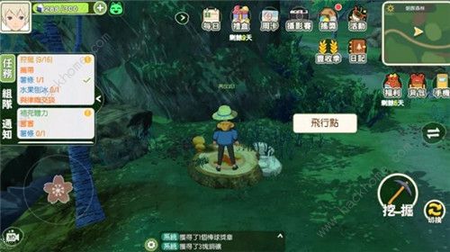 小森生活土豆功效揭秘