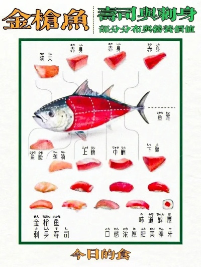 胡桃日记金枪鱼刺身价格及使用技巧