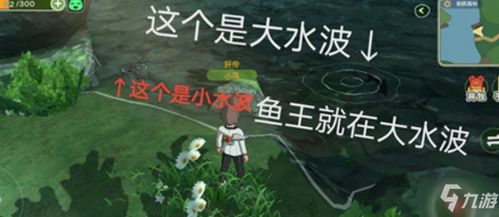 小森生活虾获取攻略分享